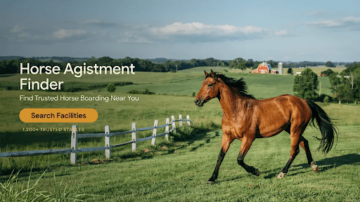 Horse Agistment Finder